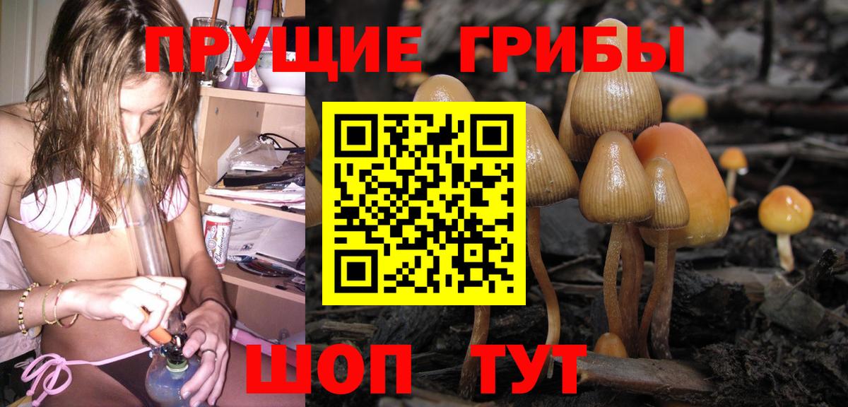 Псилоцибиновые грибы Cubensis Анапа