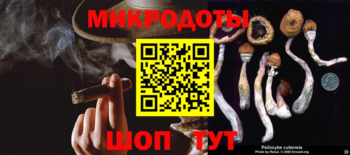 Анапа  Галлюциногенные грибы Psilocybine cubensis  Галлюциногенные грибы мухоморы  Вход с VPN 